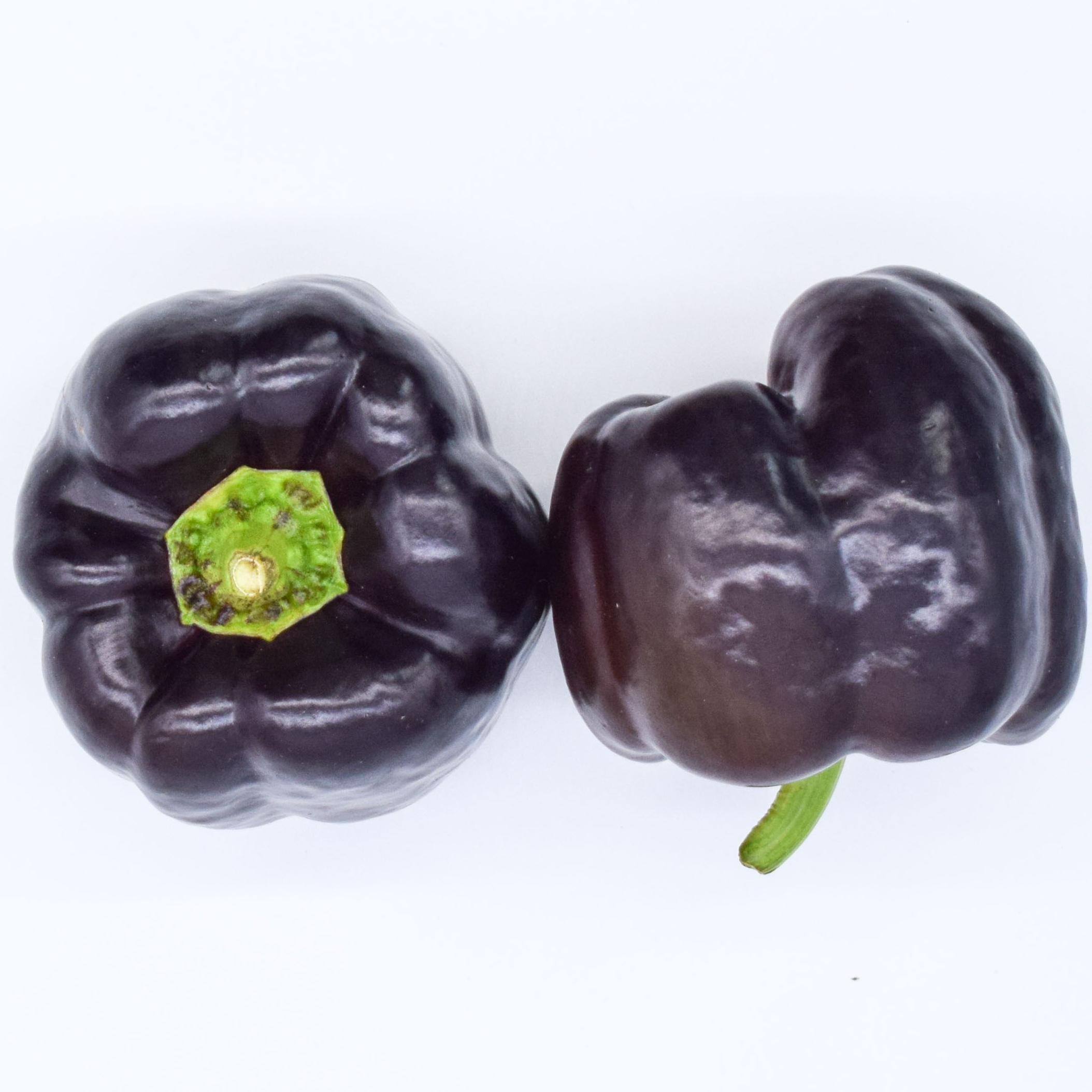 Poivron noir bellania