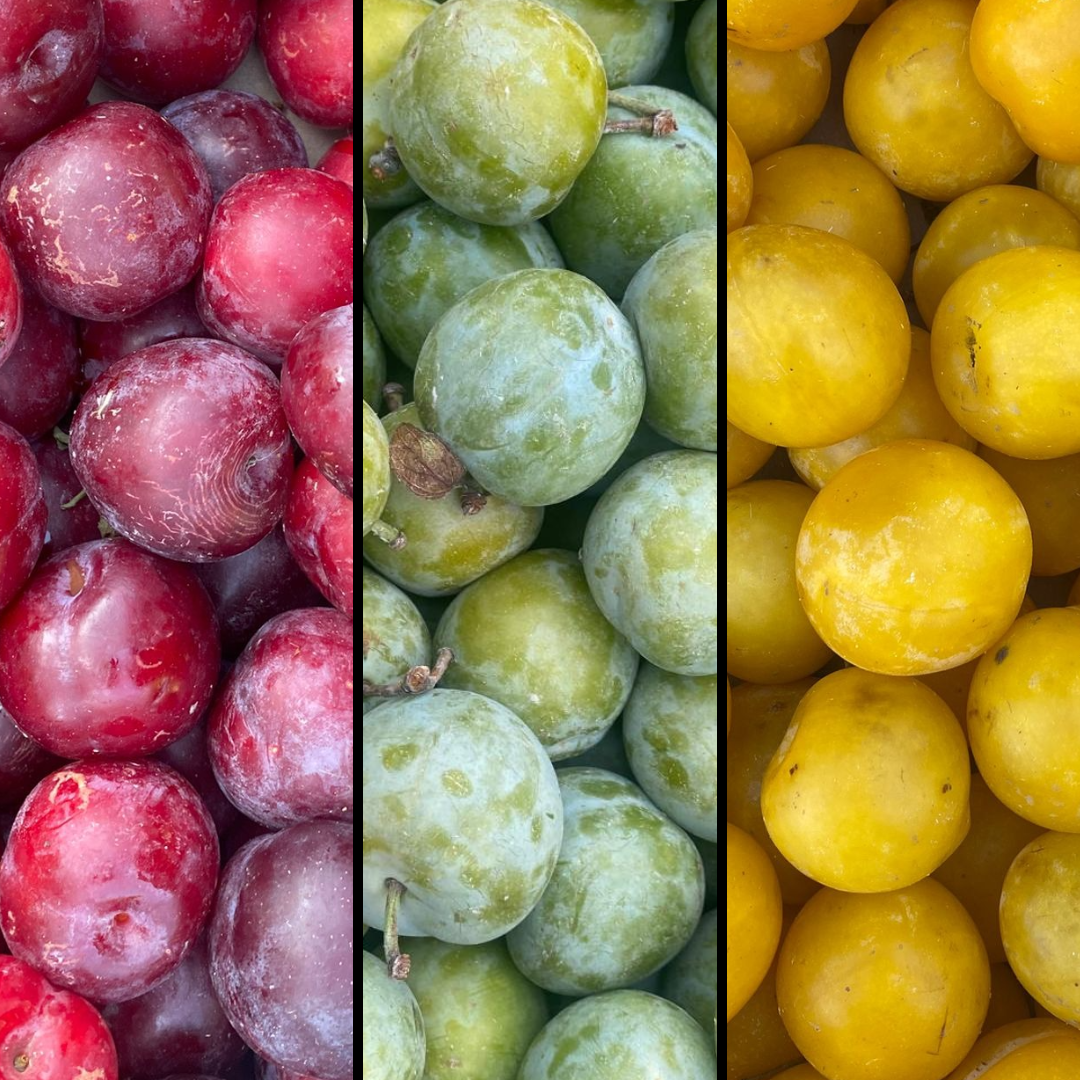 Prune - Mix découverte - 500g