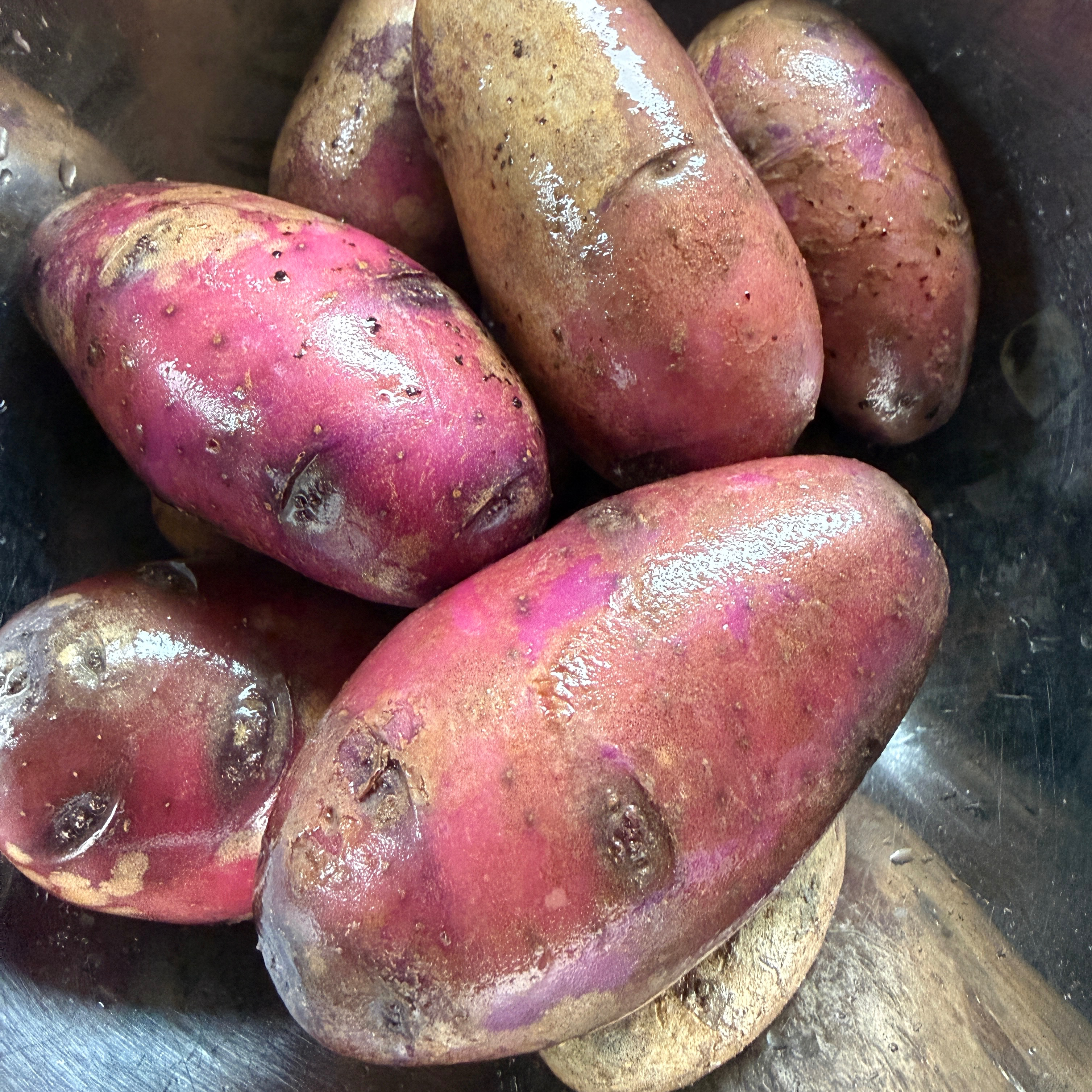 Pomme de terre violette - 10kg