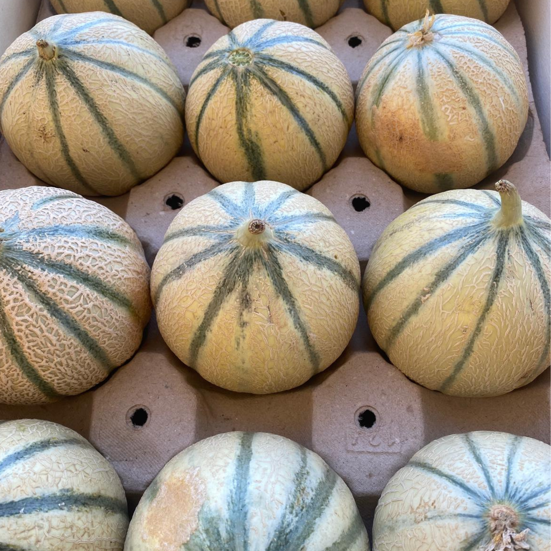 fruits et légumes moches