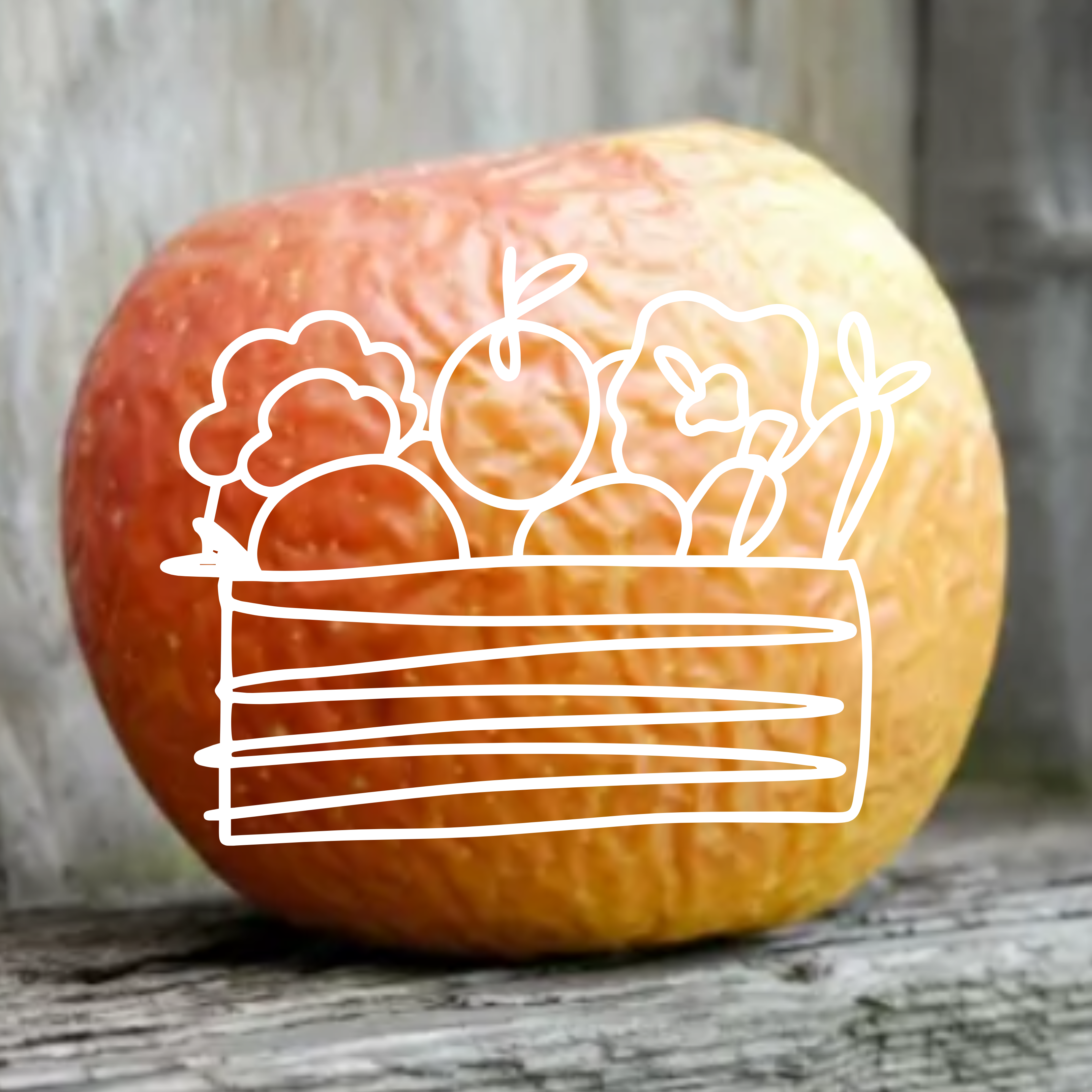 Pomme "Ramollo" pour compote - 5kg