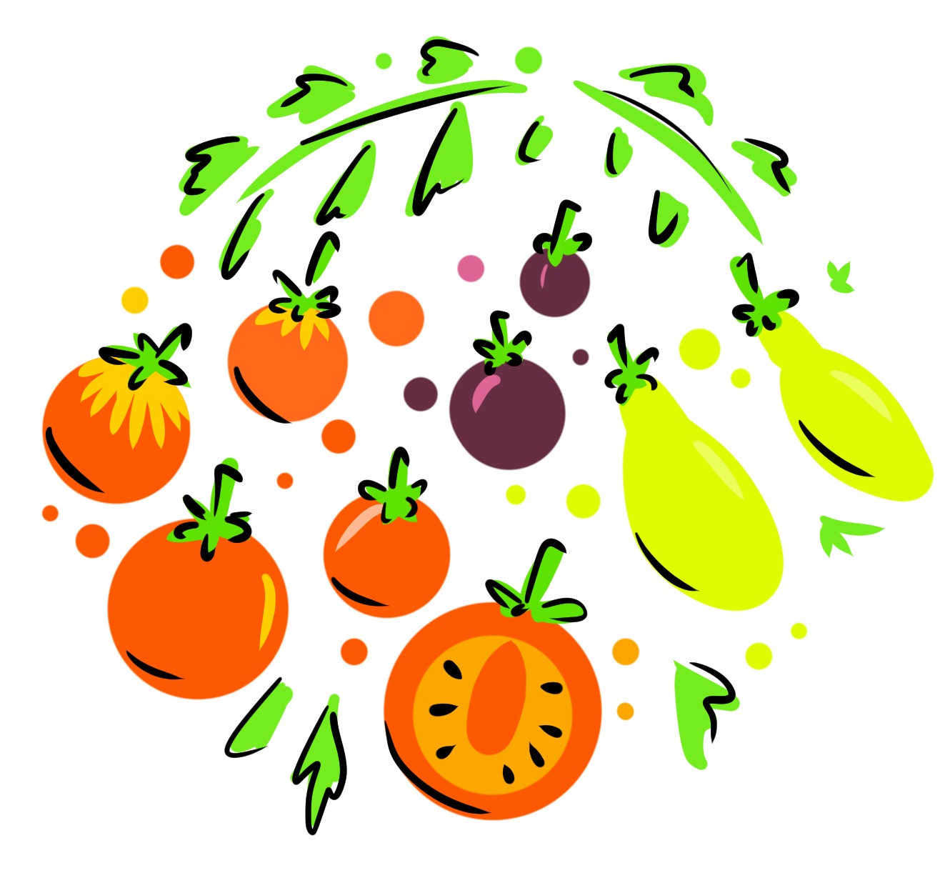 Tomate cerise lyophilisée - 20g