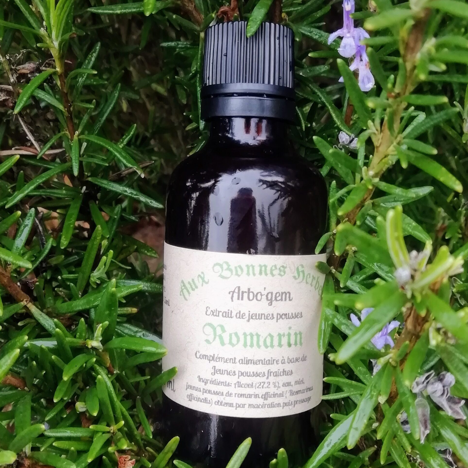 Romarin officinal - 50ml