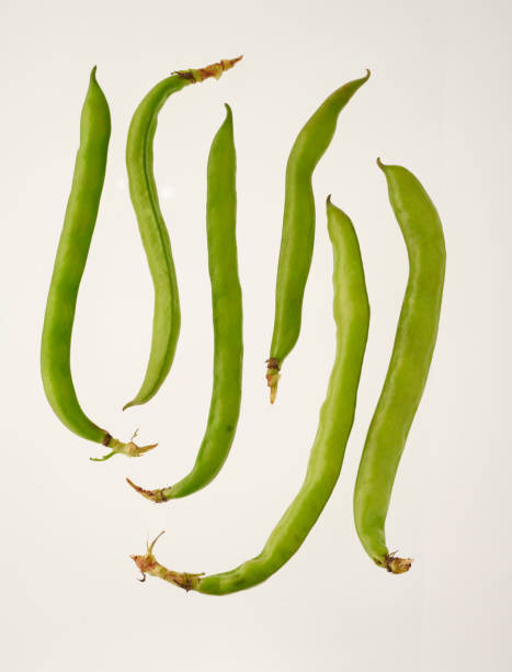 Fèves mangetout