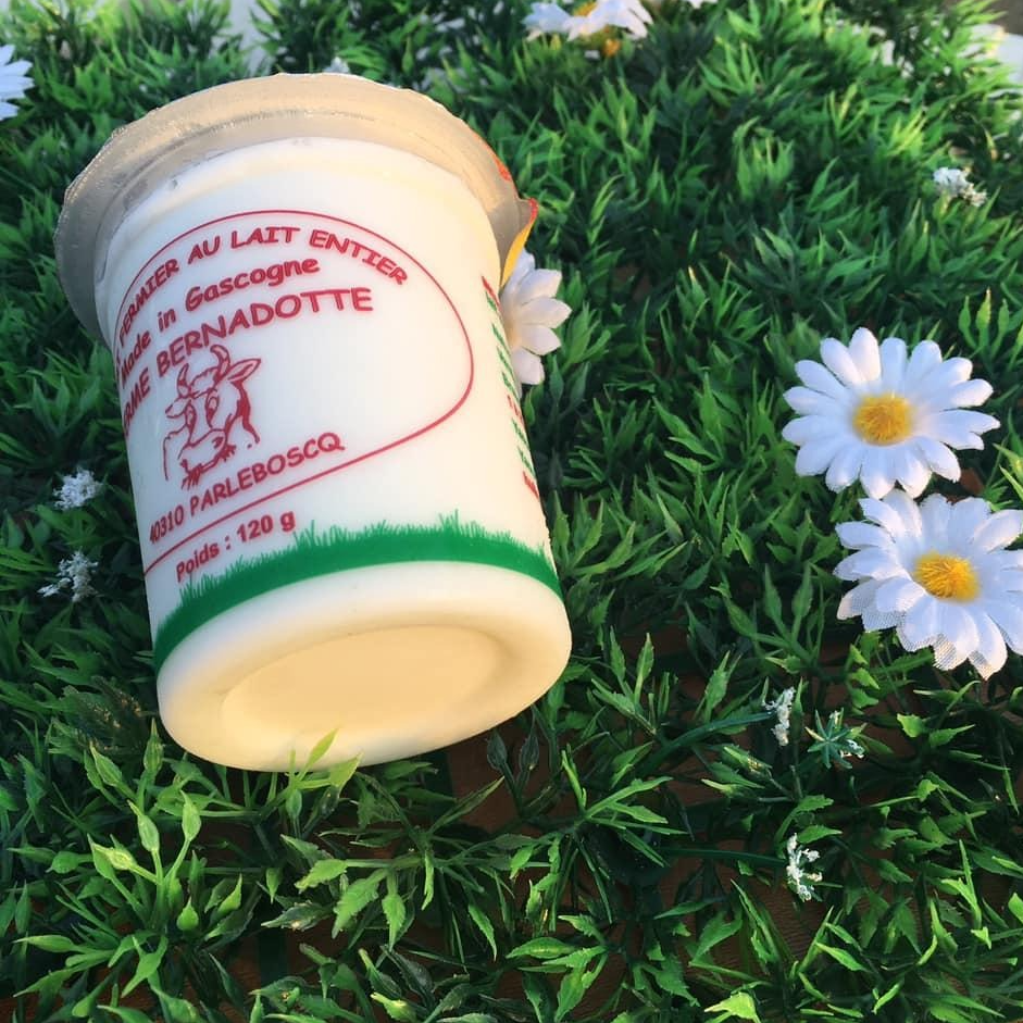 YAOURT NATURE - 12cl