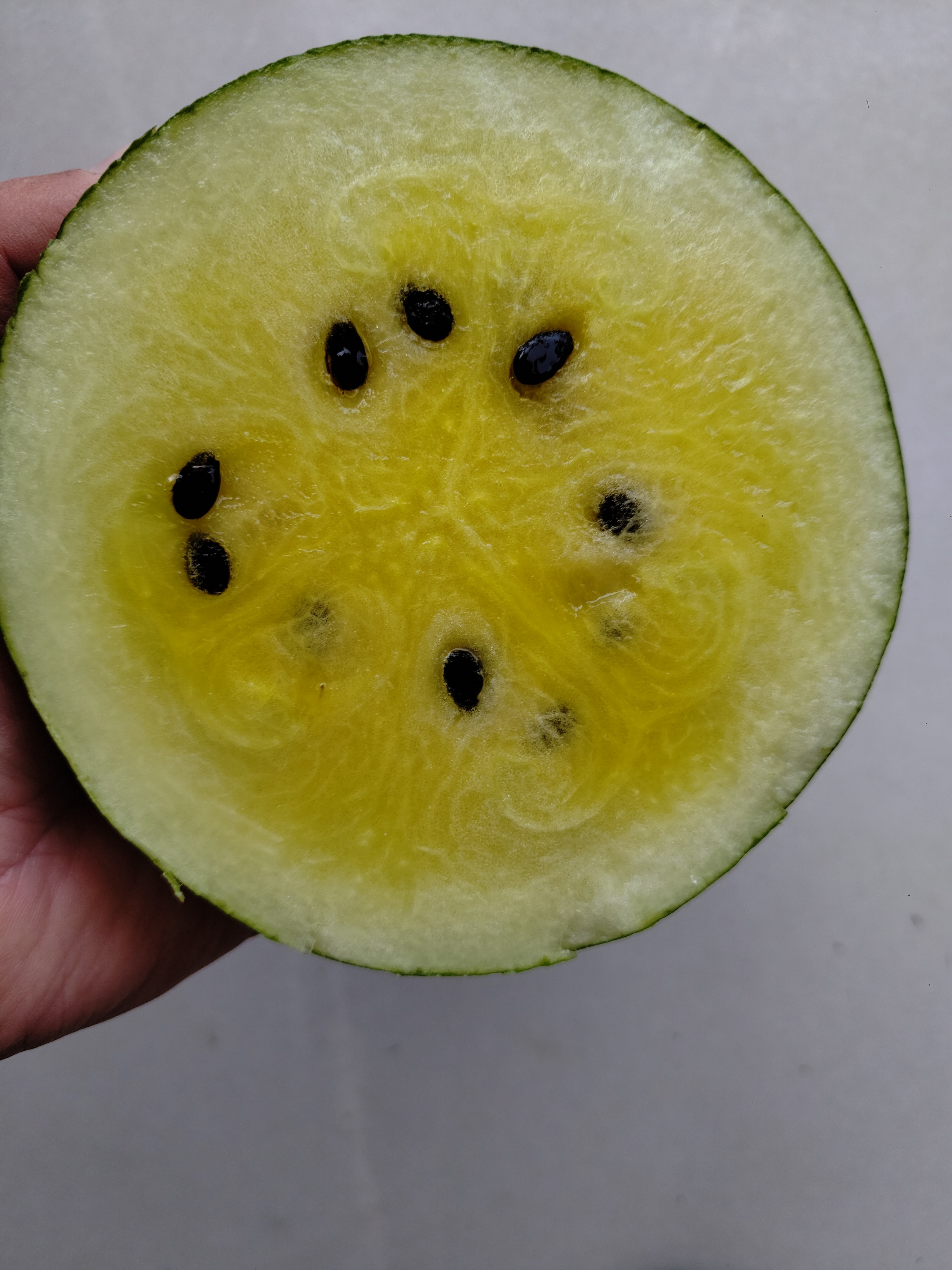 Pastèque jaune au kilo ( plus sucré que la rouge )