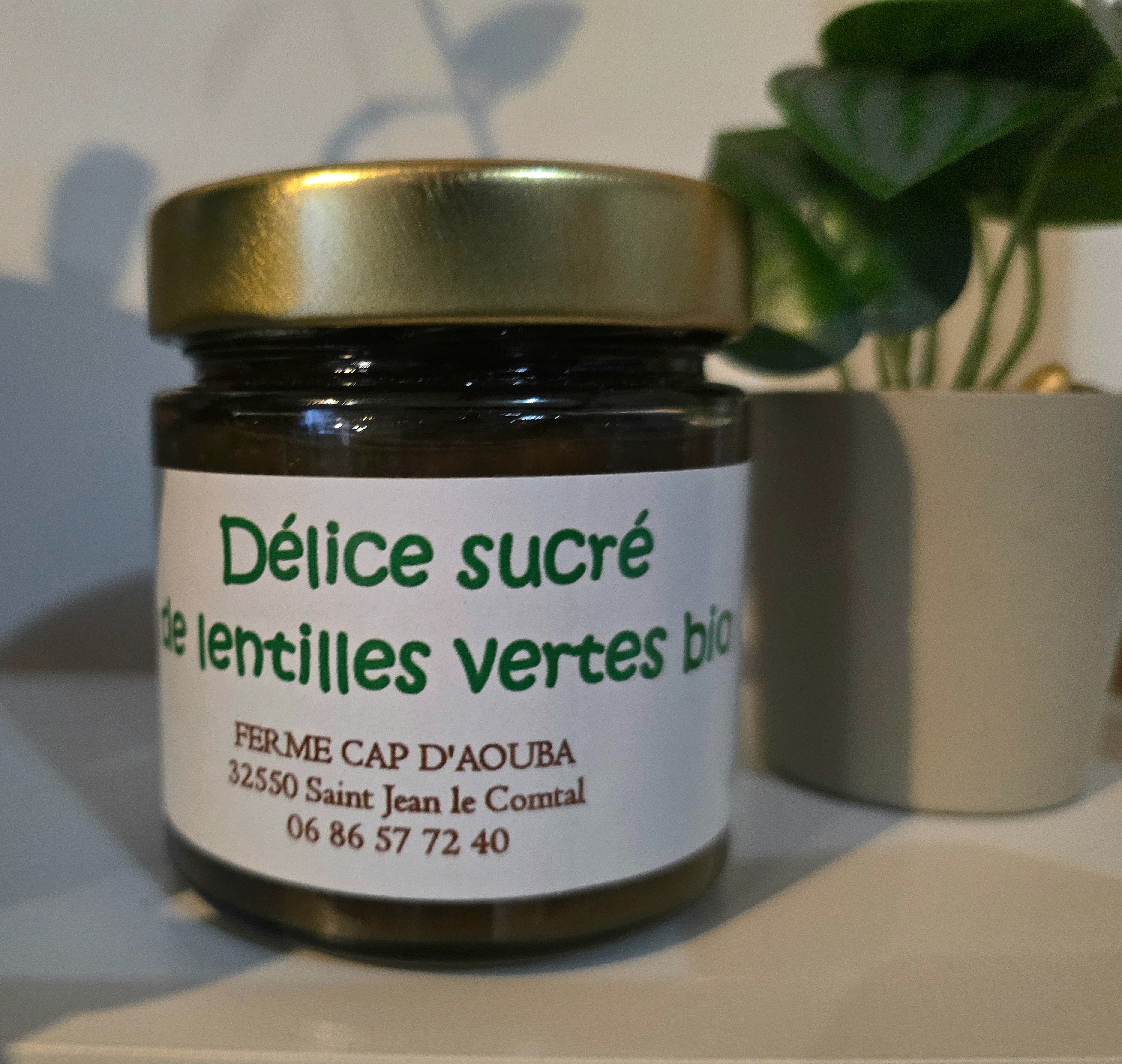 Délice sucrée de Lentilles Vertes bio - 220g
