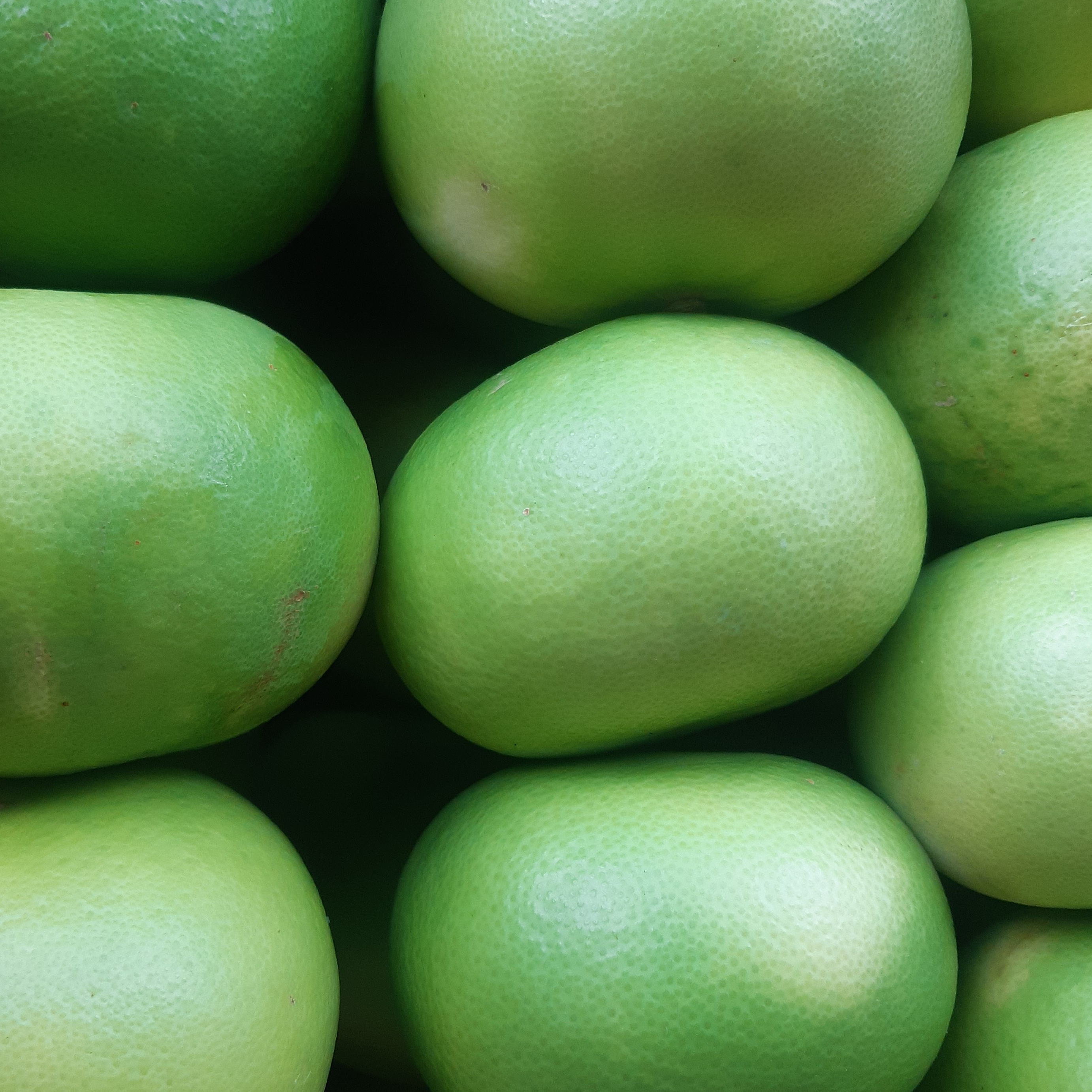 POMELO SWEETIES OROBLANCO