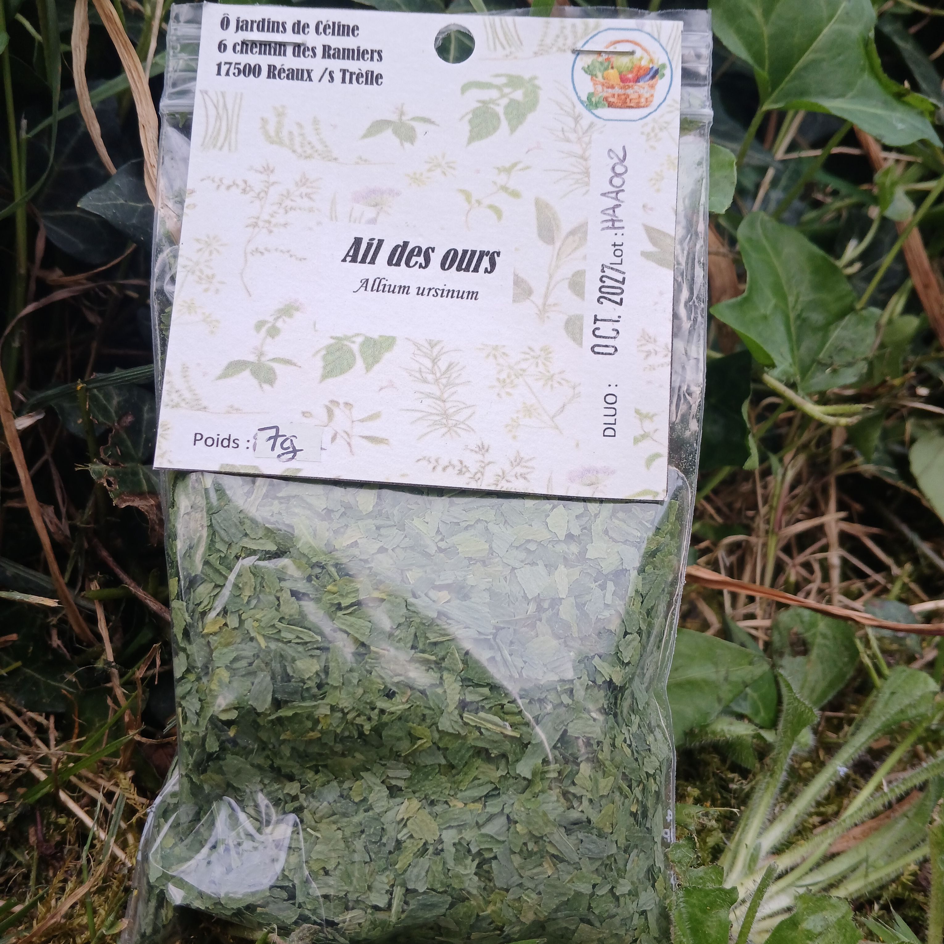Ail des ours séché - 7g