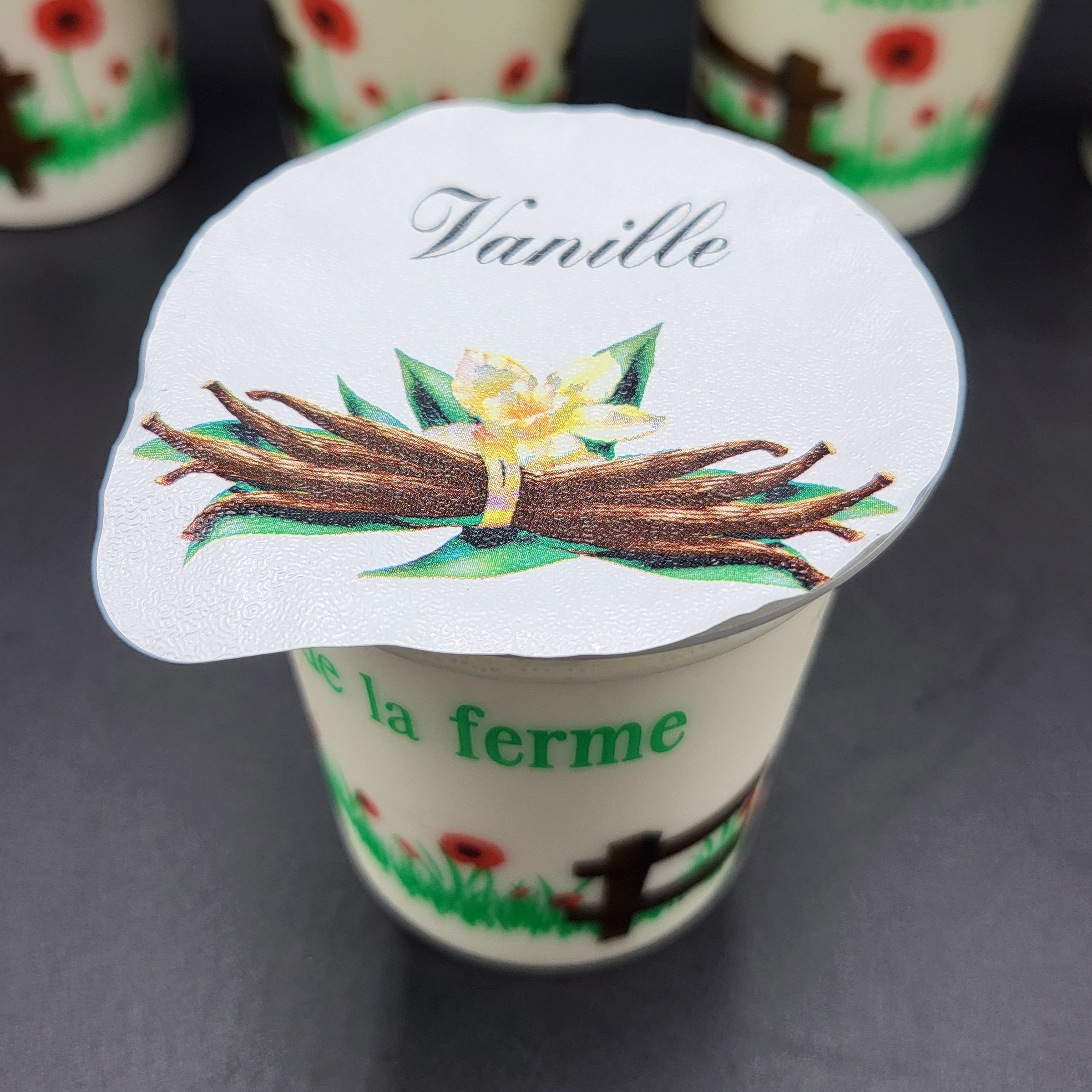 Yaourt aromatisé à la vanille - 125g