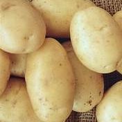 Pomme de terre Zen (char ferme)