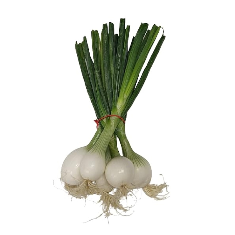 Oignon Botte
