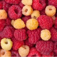 Framboise