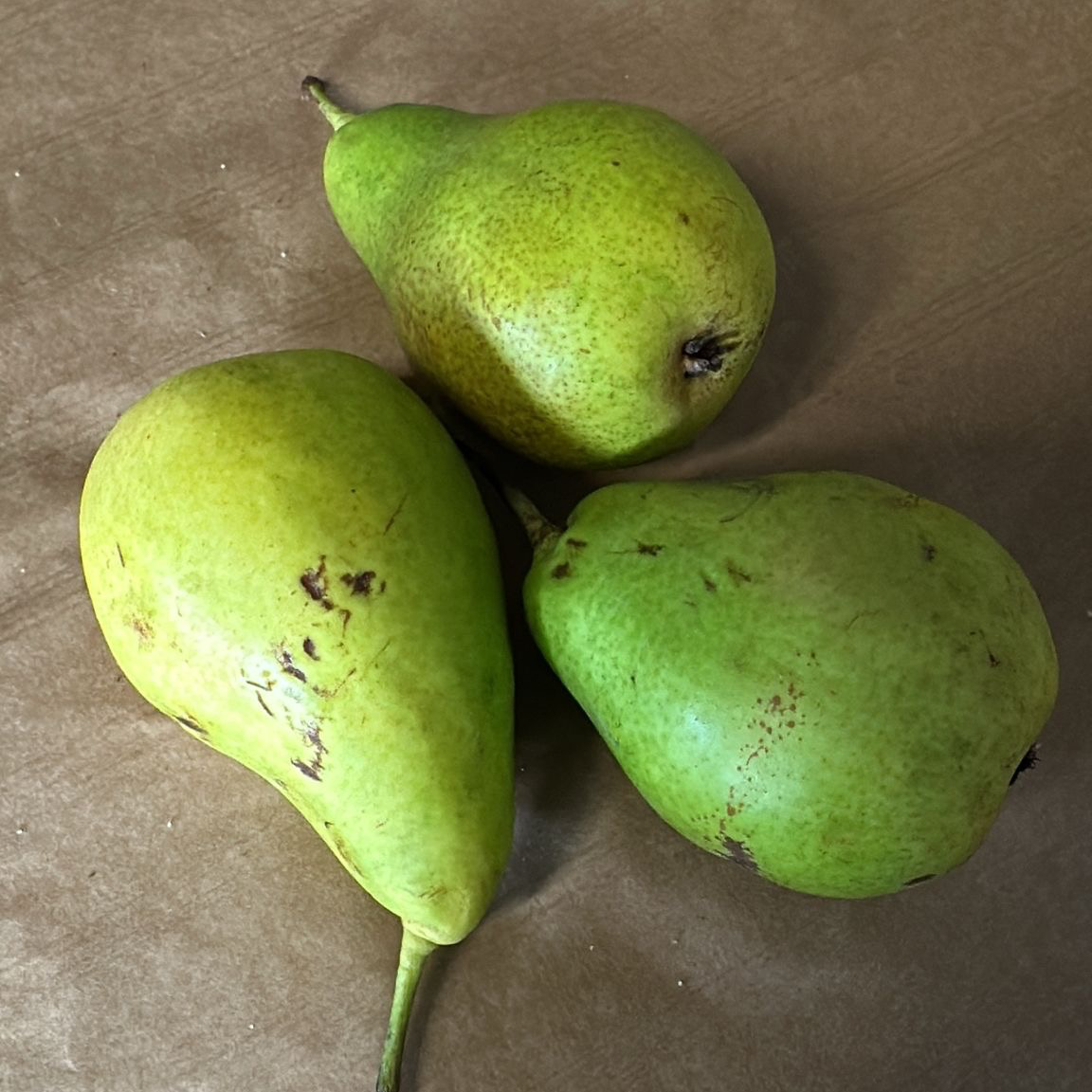 Poire Louisebonne 1kg - 1kg