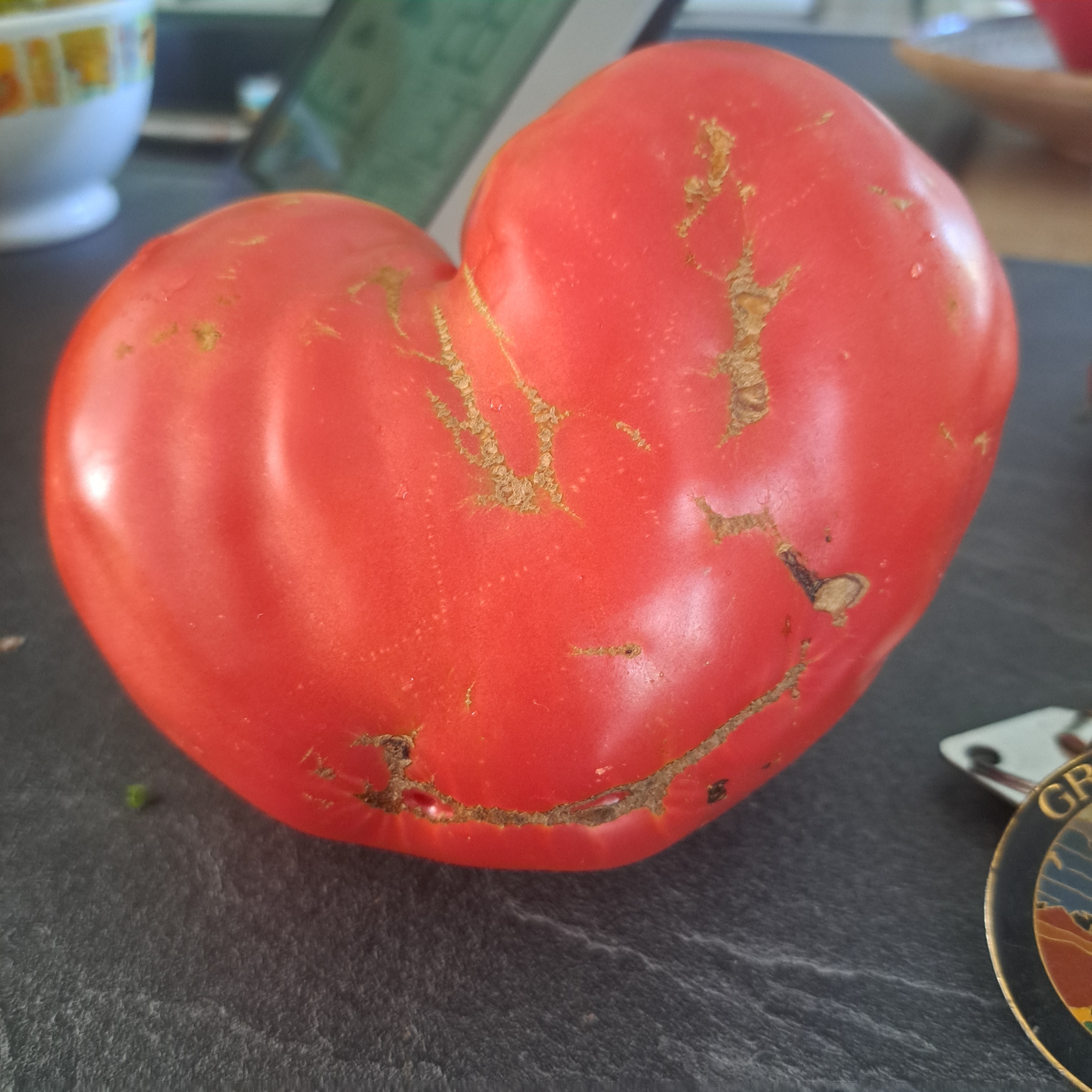 Tomates - 1kg