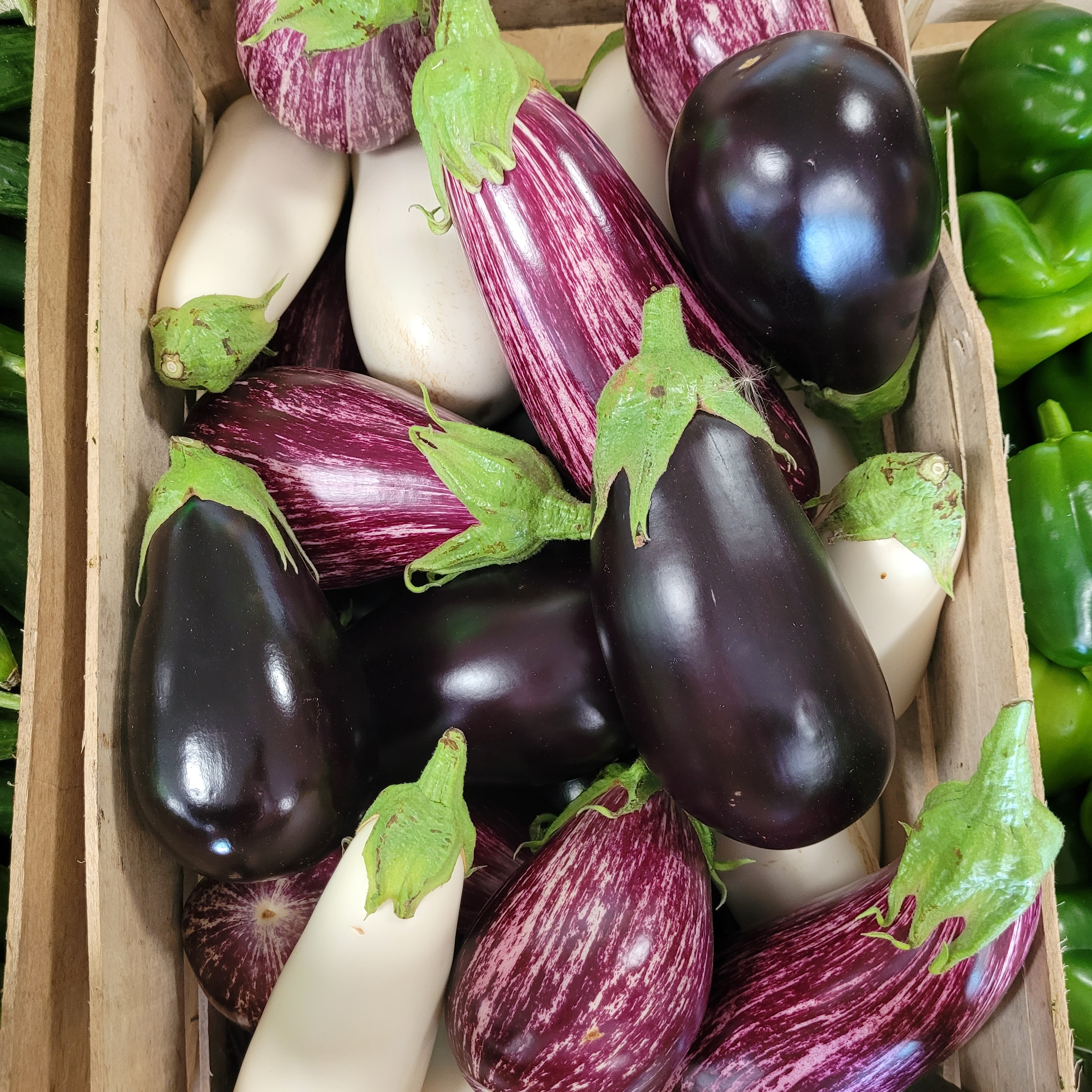 Aubergine 1 KG