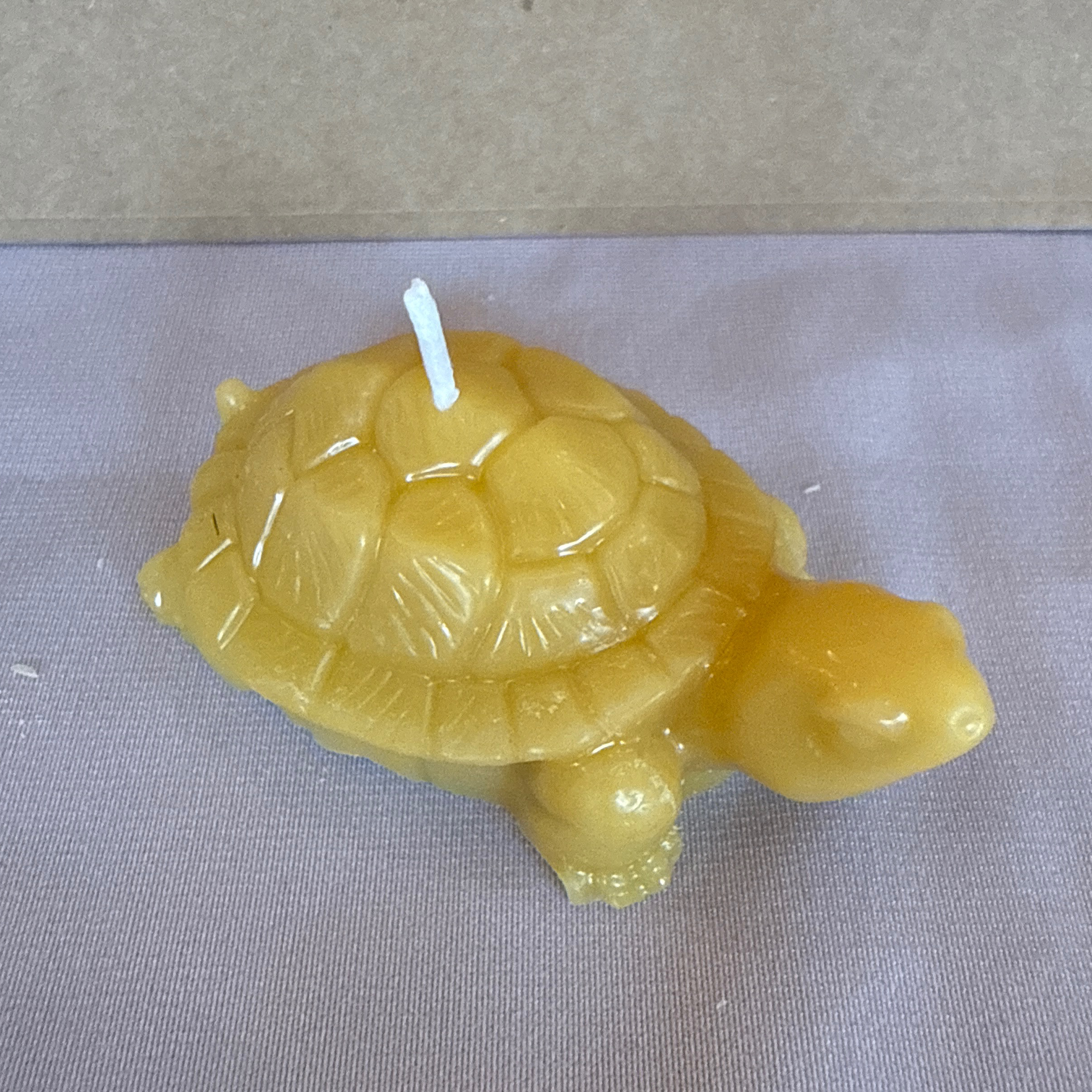 Bougie tortue petit modèle