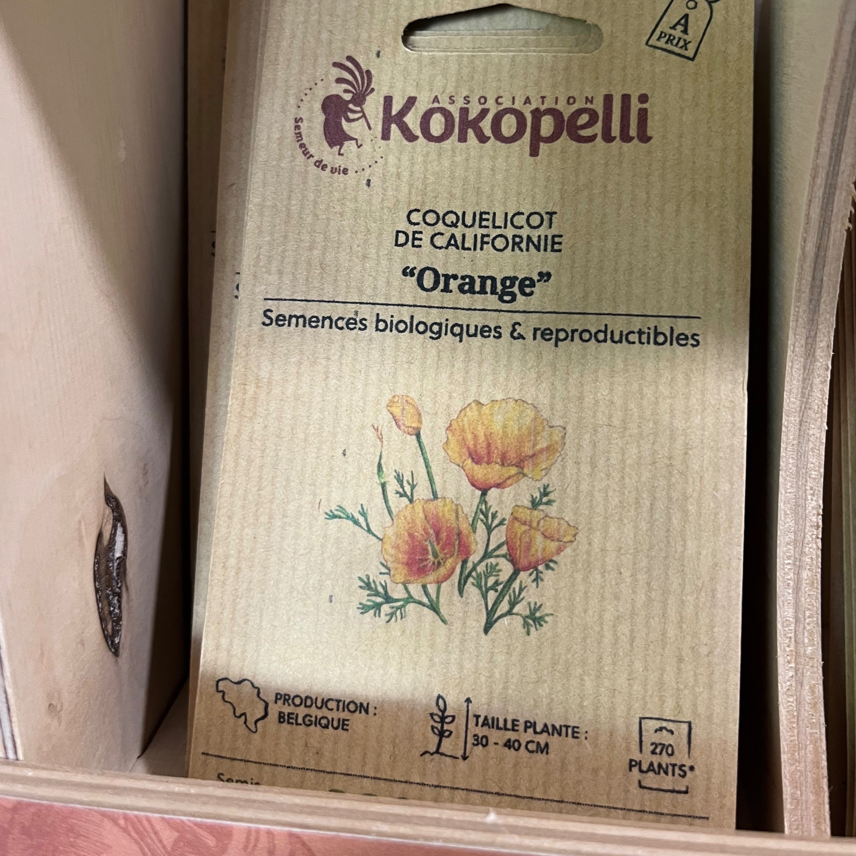 Coquelicot de Californie "Orange"