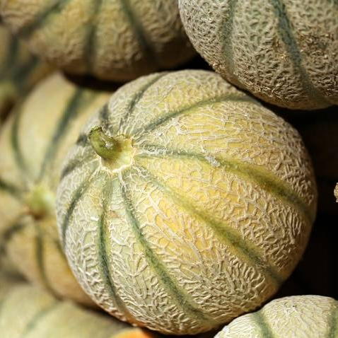 Melon (petit) - 750g