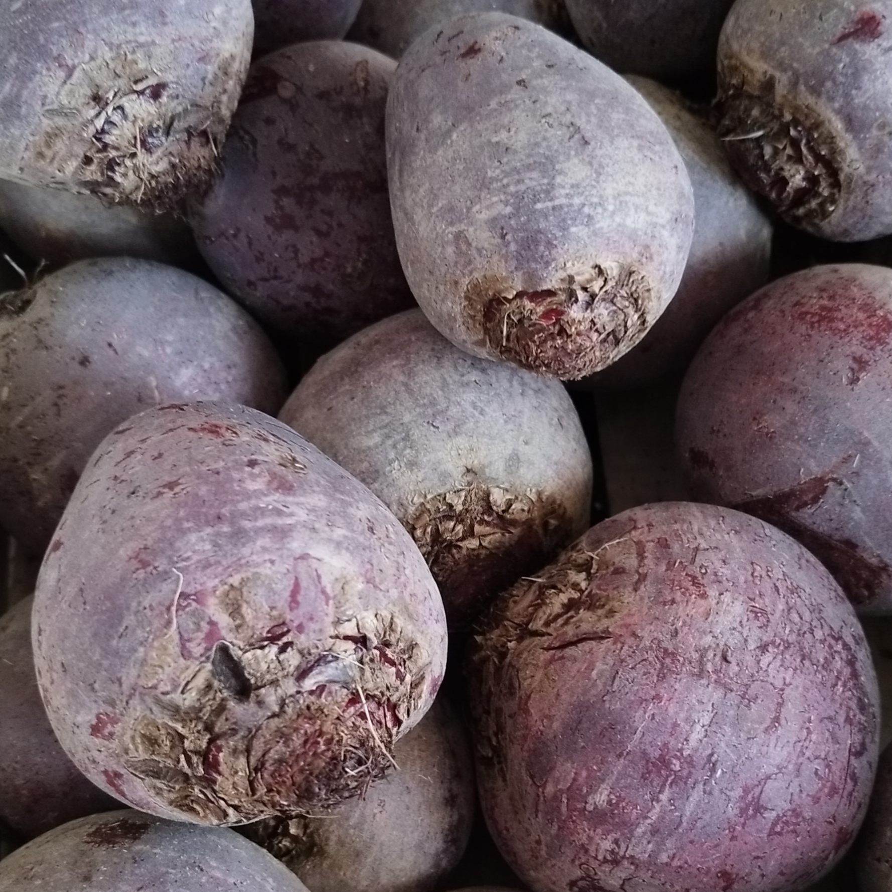 Betterave rouge - 500g