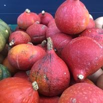 Potimarron Bio - 1,2kg