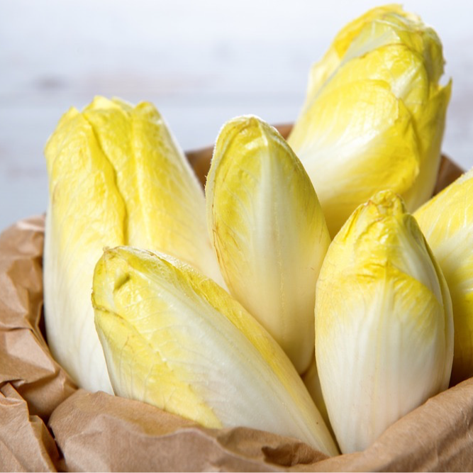Endive ‘Witloof’ - 150g