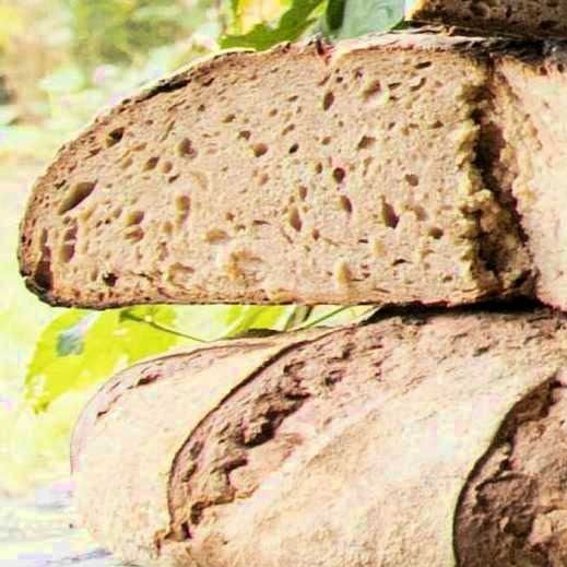Pain nature (Miche)