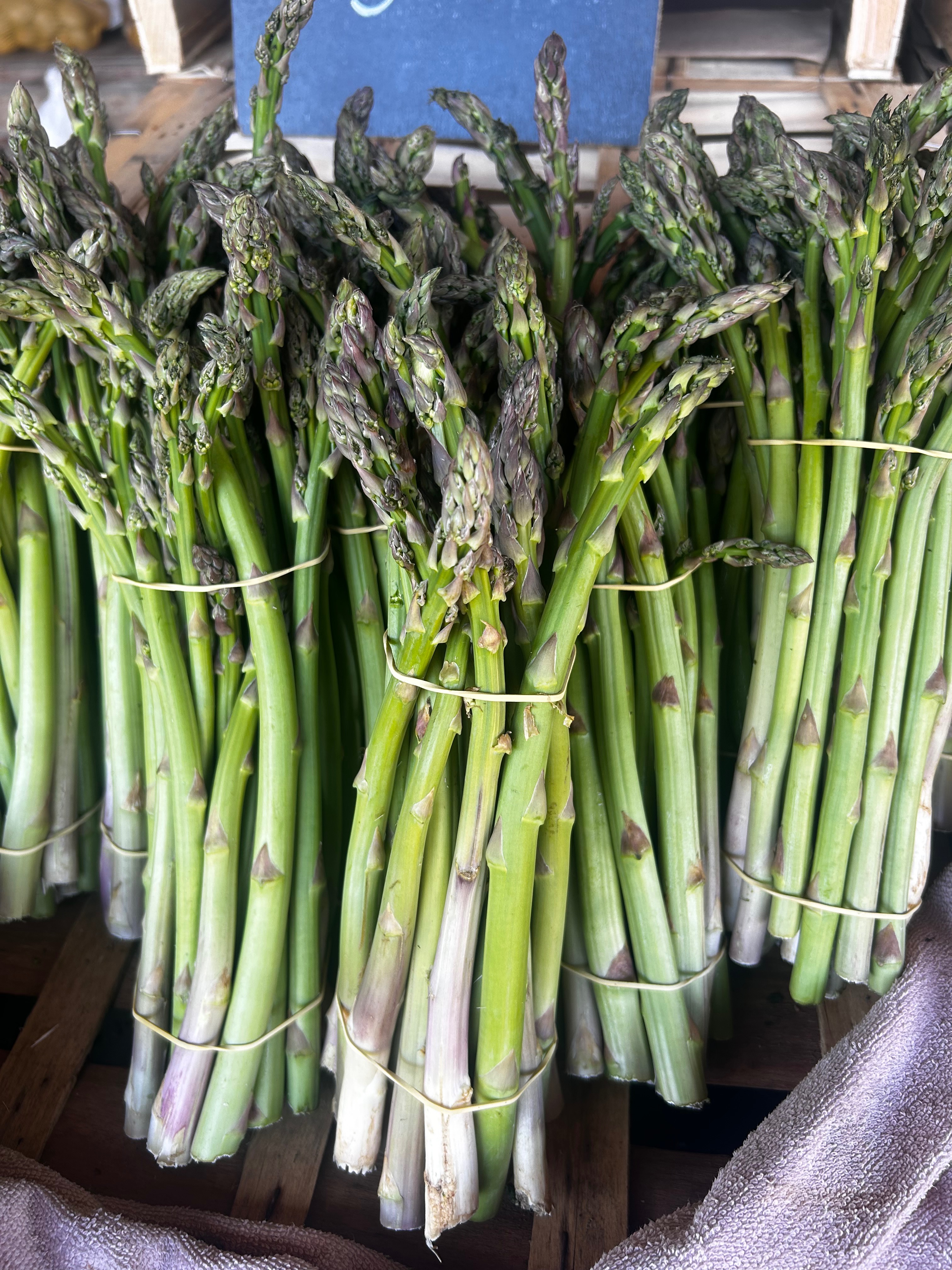 Asperge moyenne- La botte