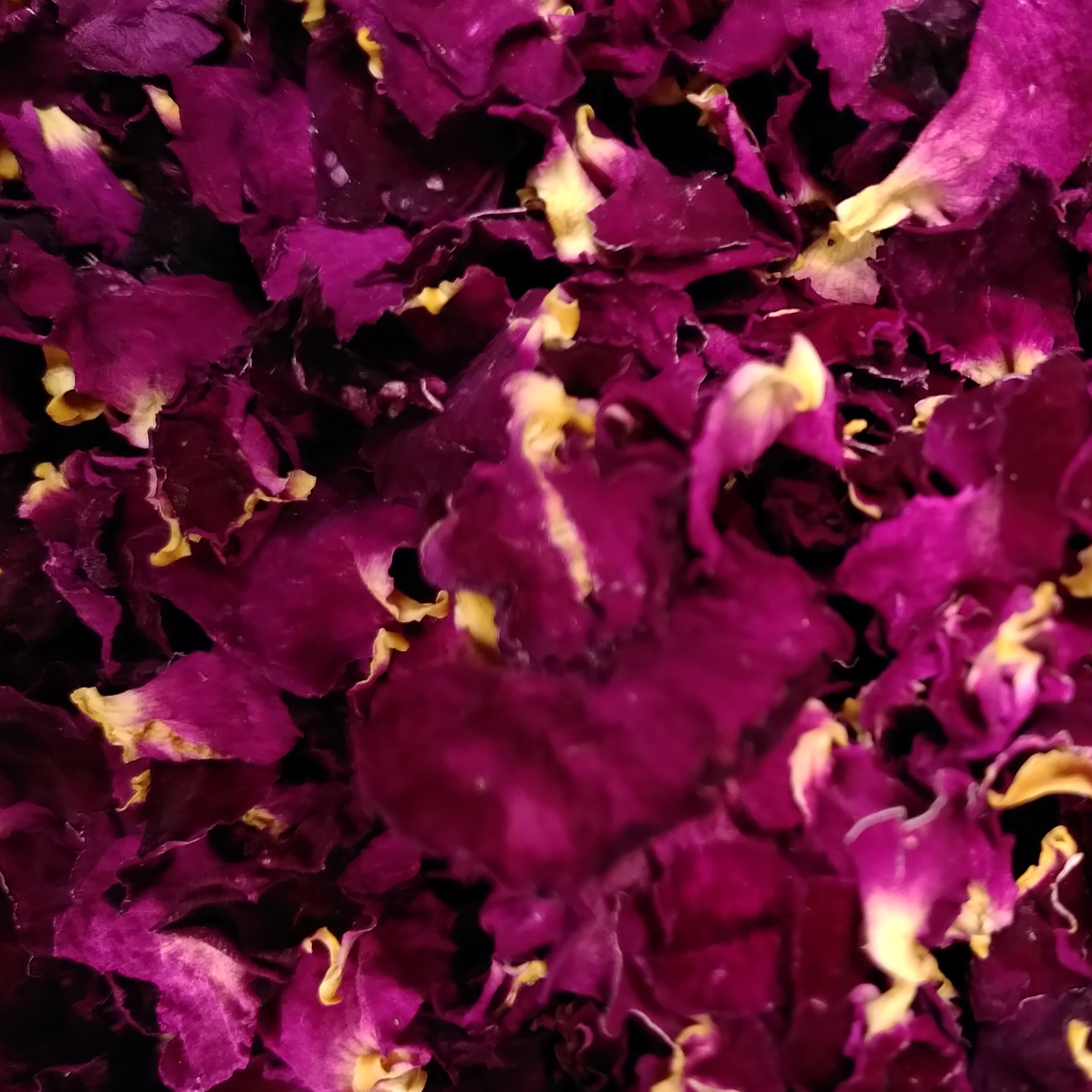 INFUSION SIMPLE ROSE - 15g