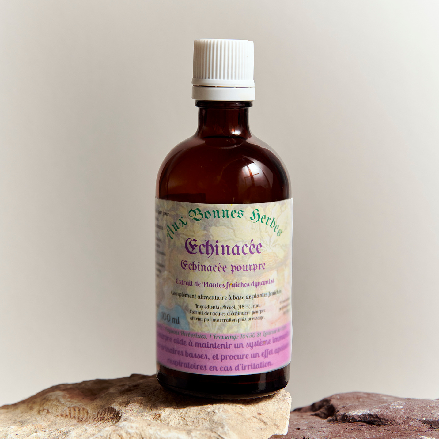 Echinacée pourpre - 100ml