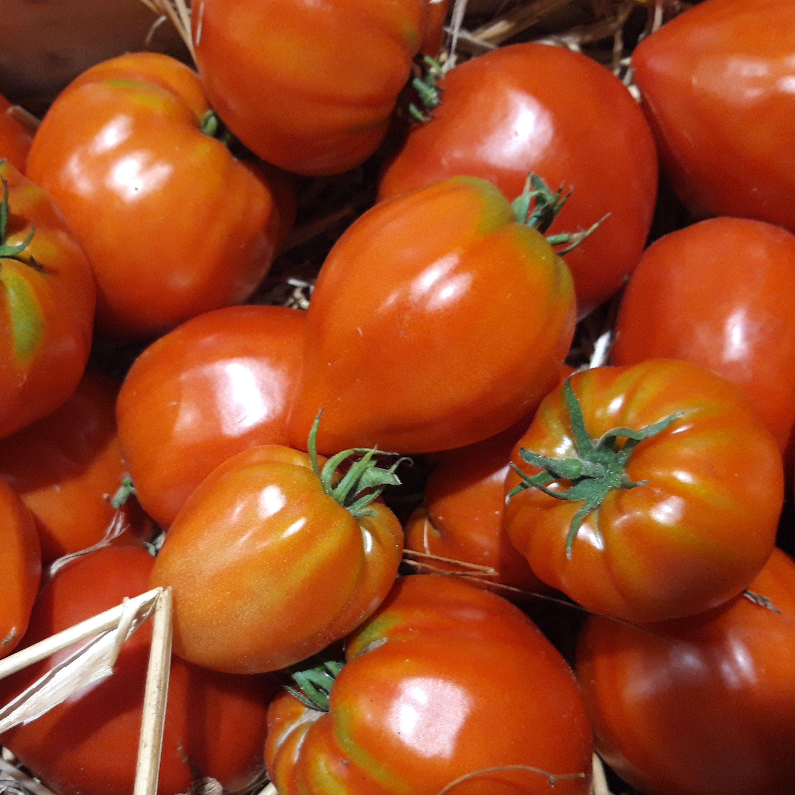 Tomate ancienne - 1kg