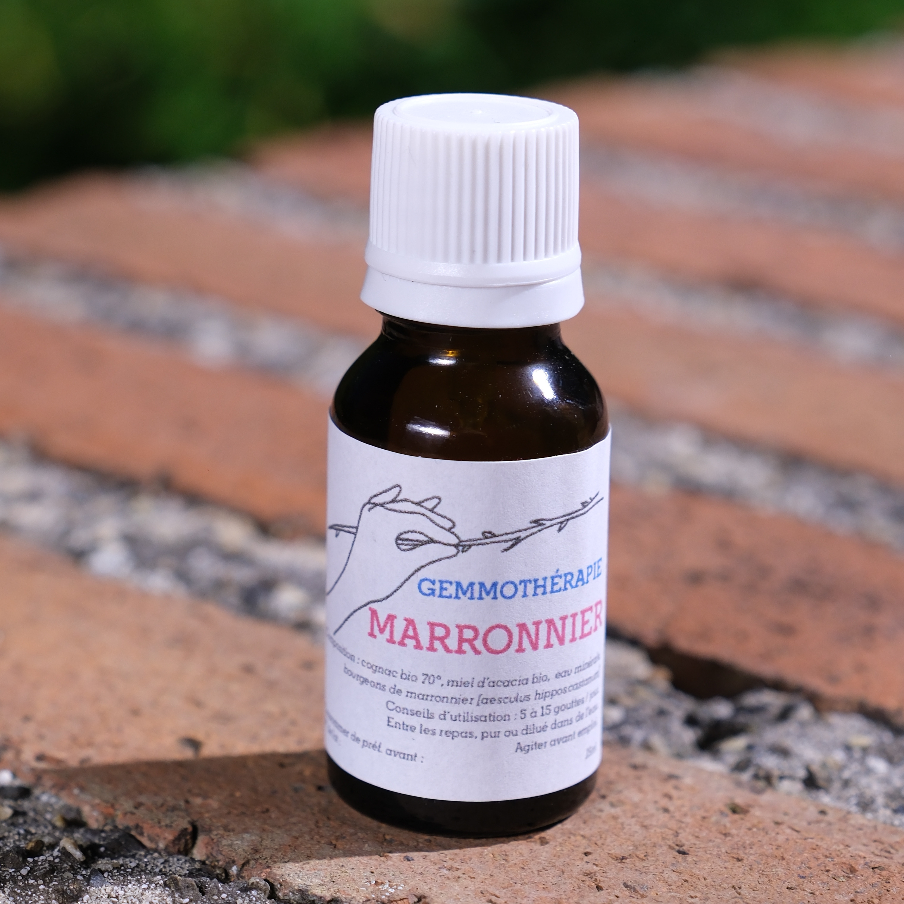 Marronnier • Décongestionnant & Tonique veineux - 15ml