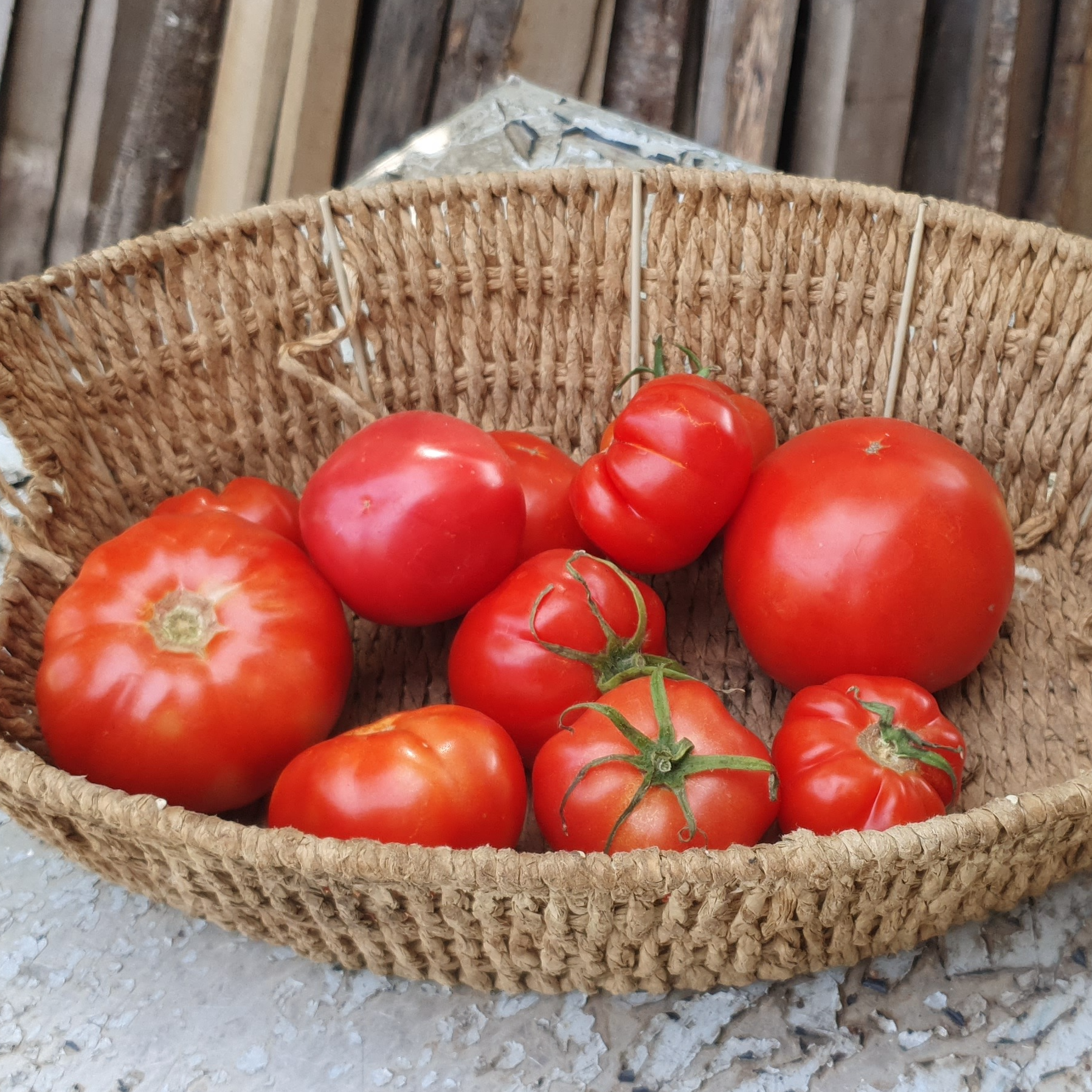 Tomates