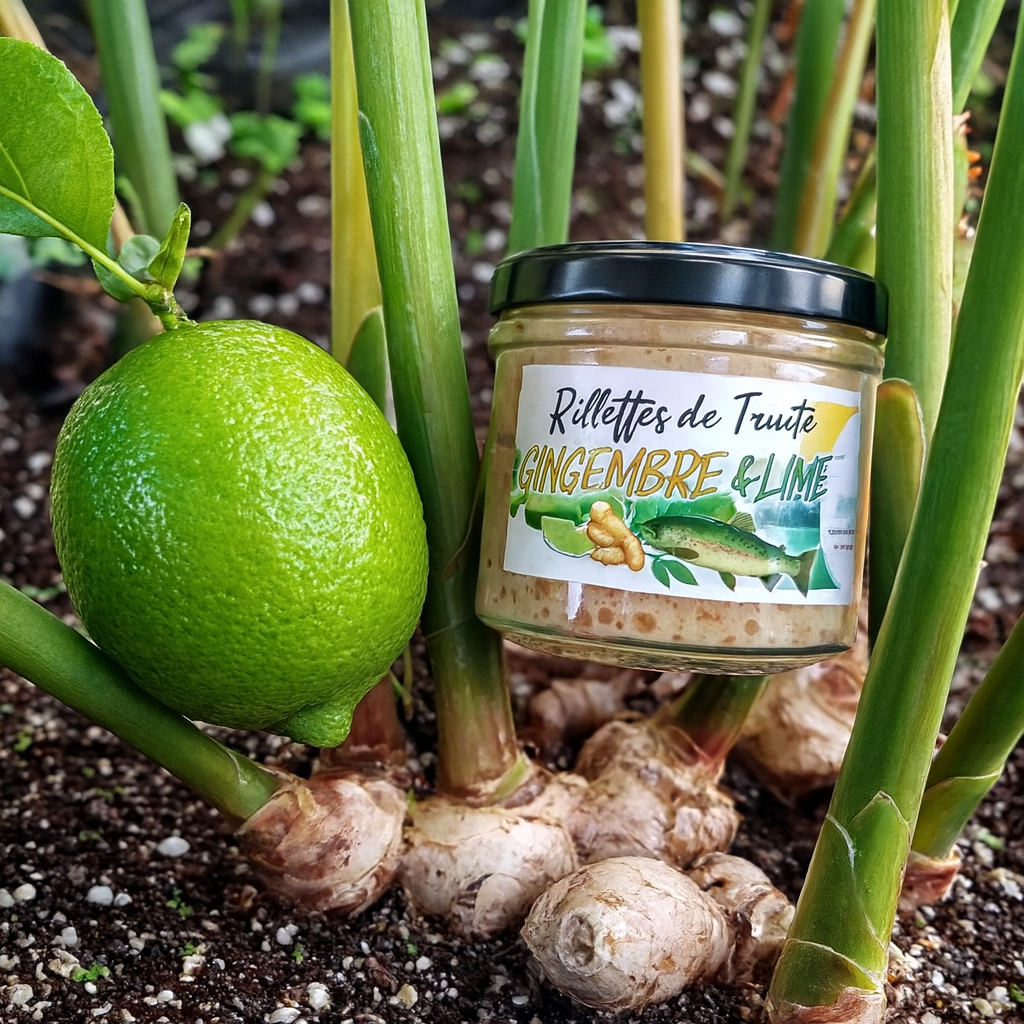 Rillettes de Truite Blanche Lime & Gingembre de la Ferme - 100g