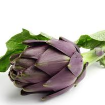 Artichaud Violet