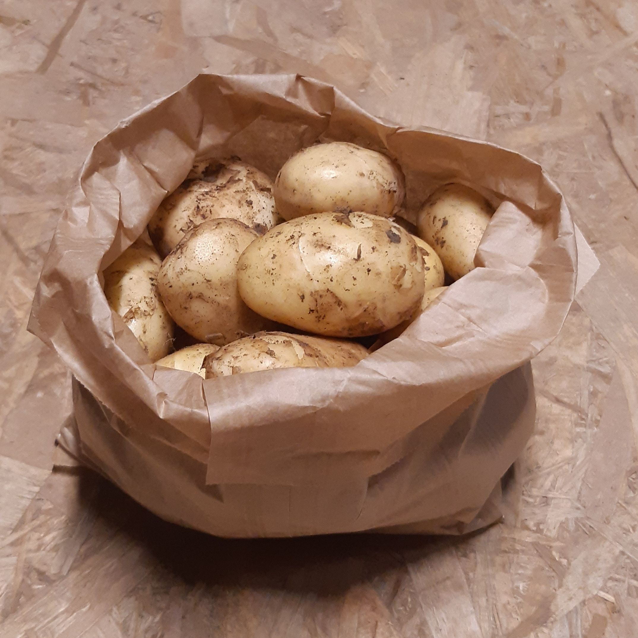 Pomme de terre primeur - 500g