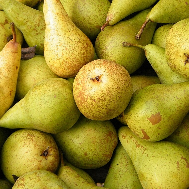 Poire Concorde - 500g