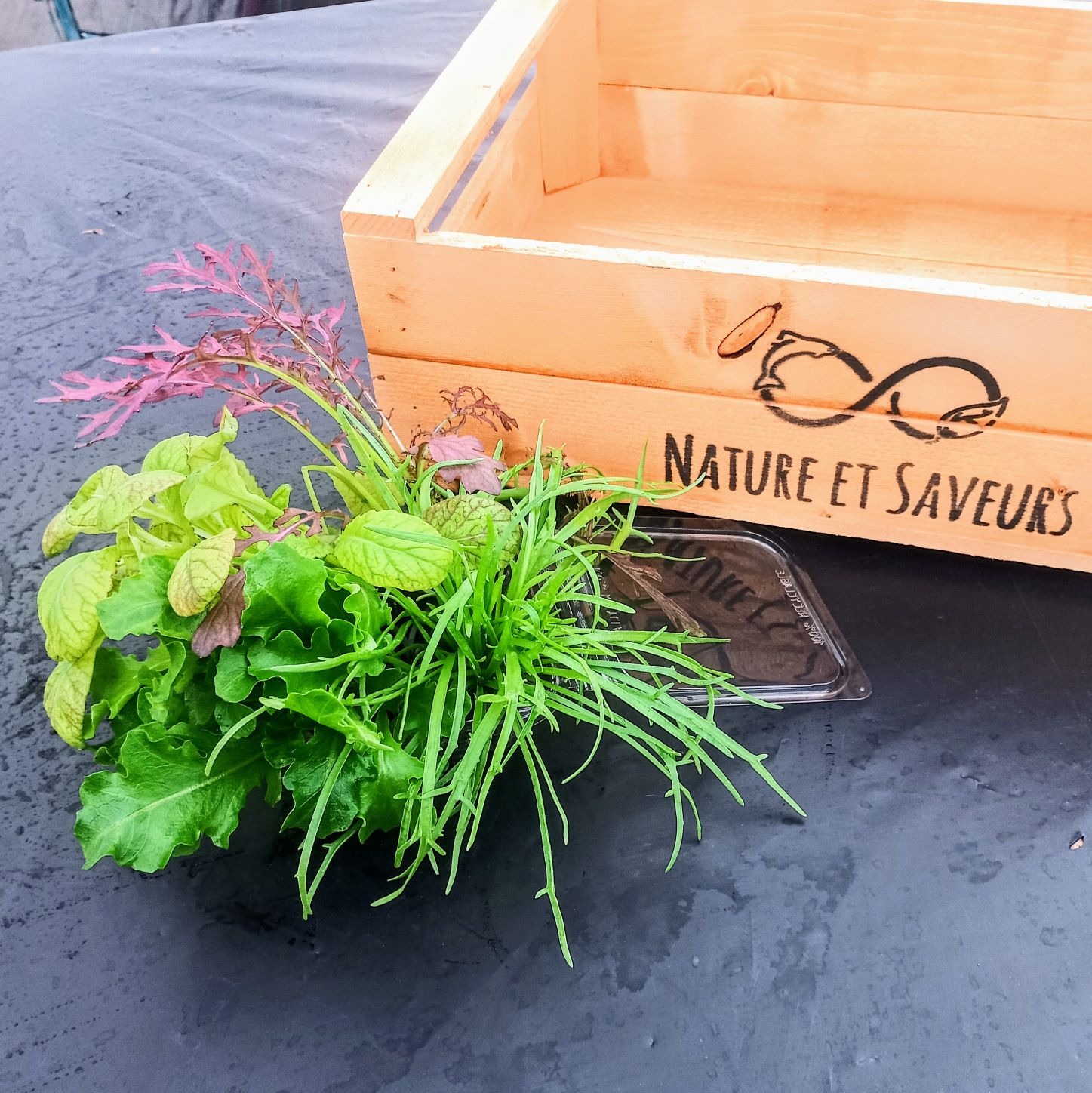 Assortiments d'Aromatiques vivants - 200g