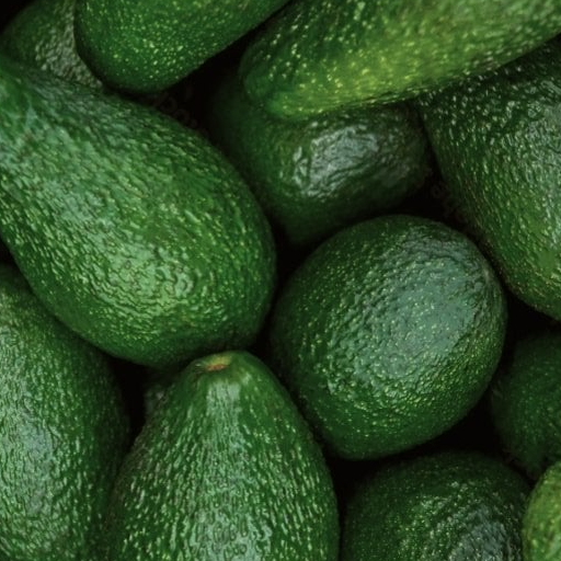 Avocat Hass de Corse - Vendu au KG - 195g