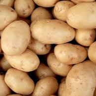 Pomme de terre Maiwen (100gr)