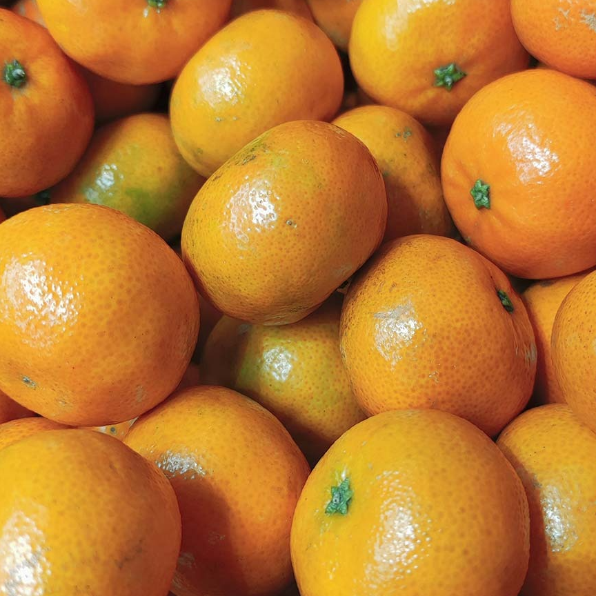 Mandarine Nadorcott - 500g