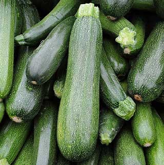 Courgette 1kg (gros calibre)