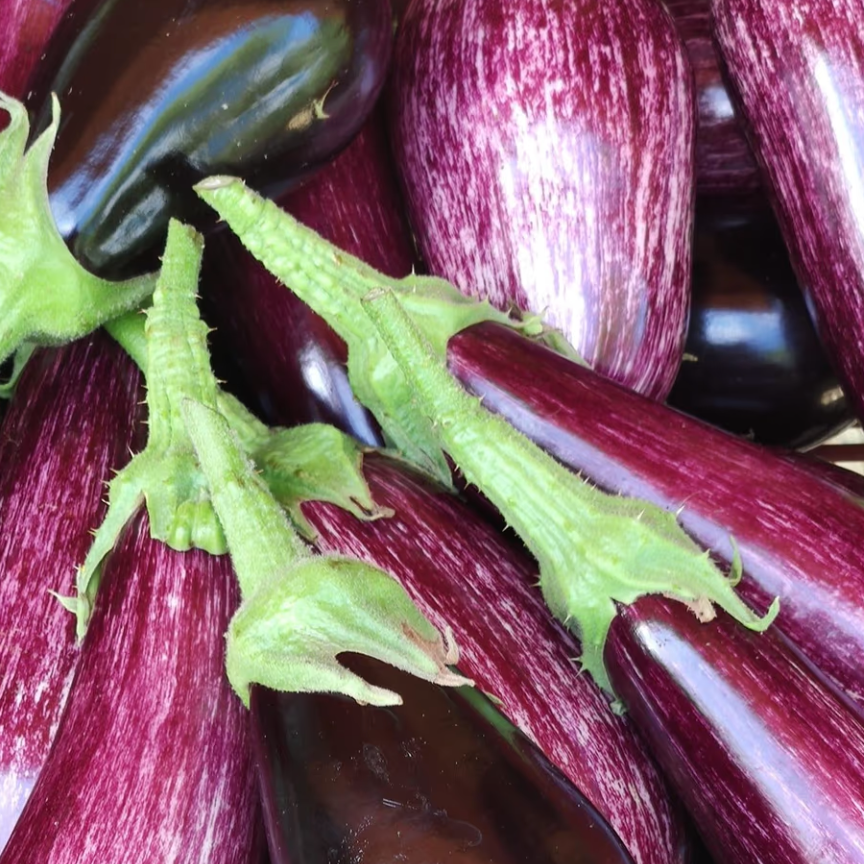 Aubergine (pièce) - 580g