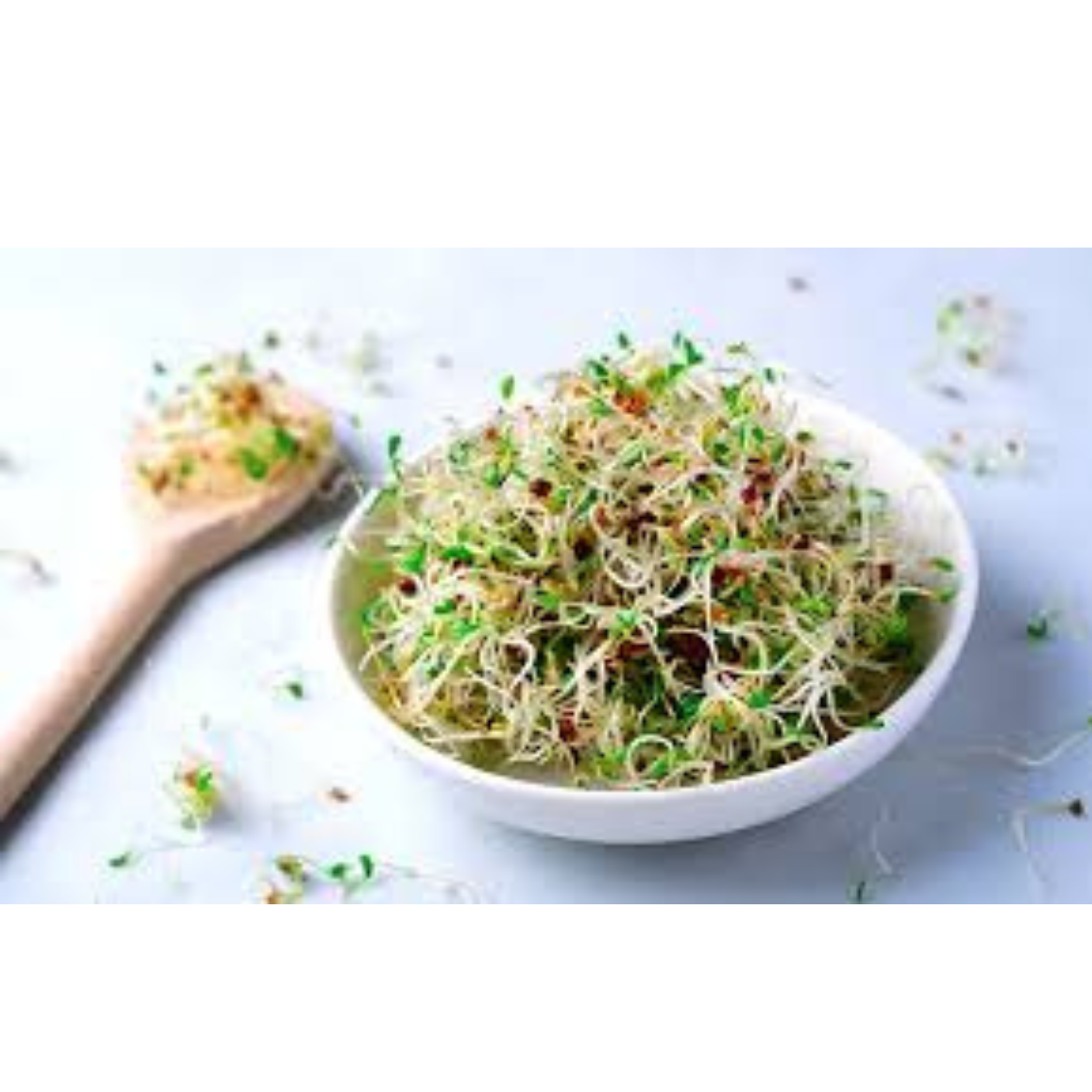 Graines Germées / Alfalfa Roquette - 10g