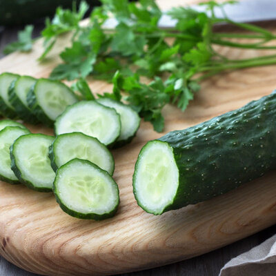 Plant de concombre - Long de Chine