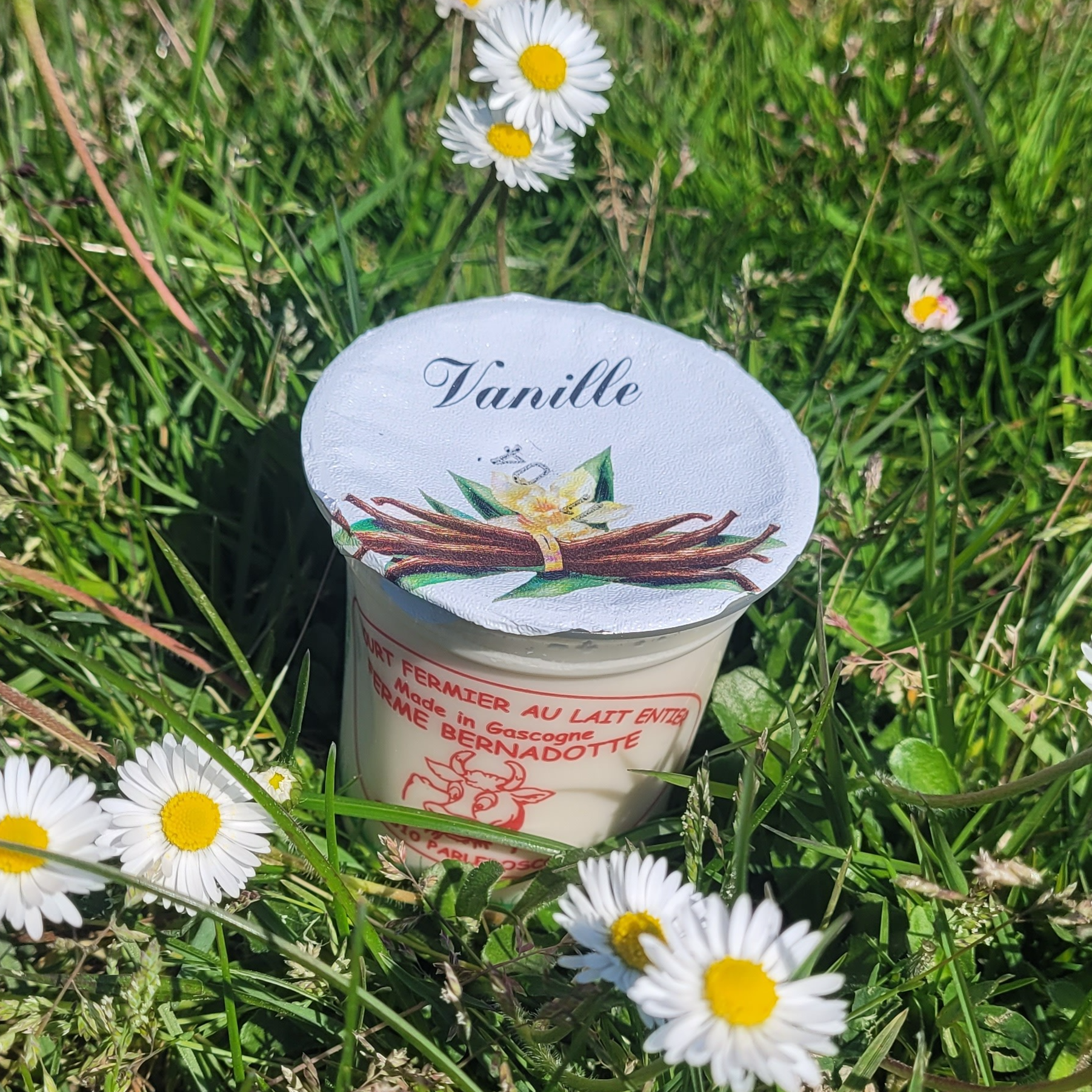 YAOURT A LA VANILLE - 12cl