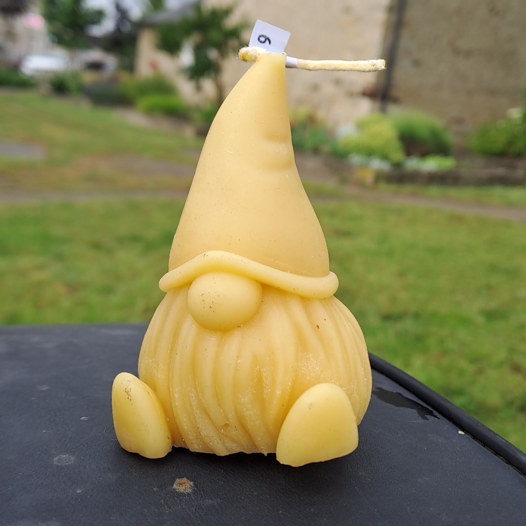 Gnome