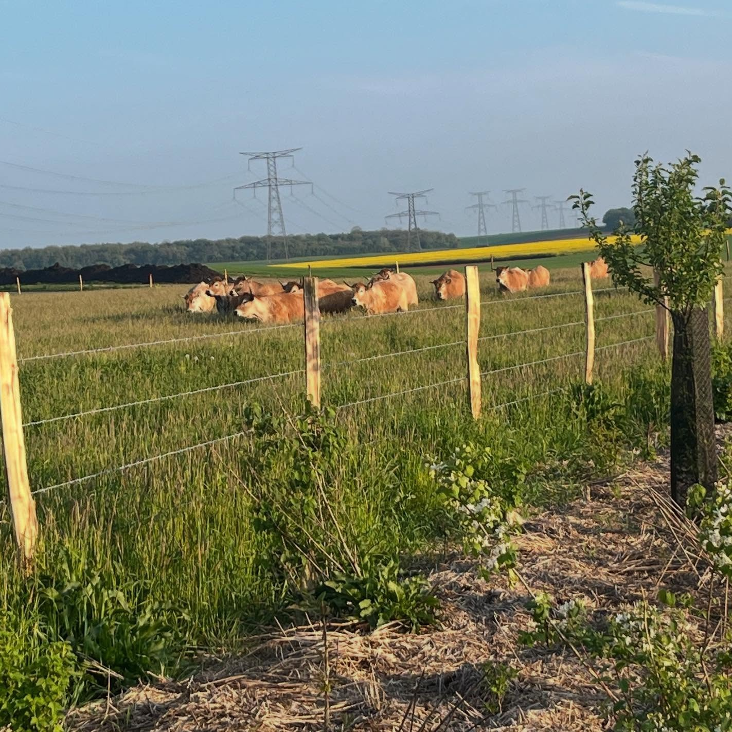 Visite guidée de la ferme