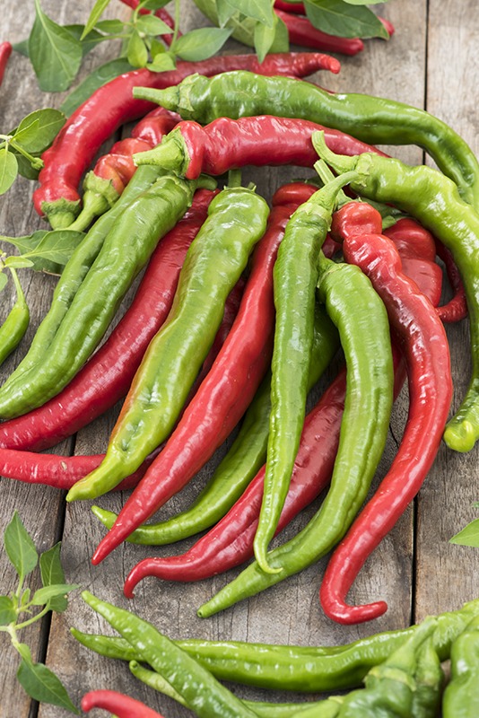 Plant Piment Landais