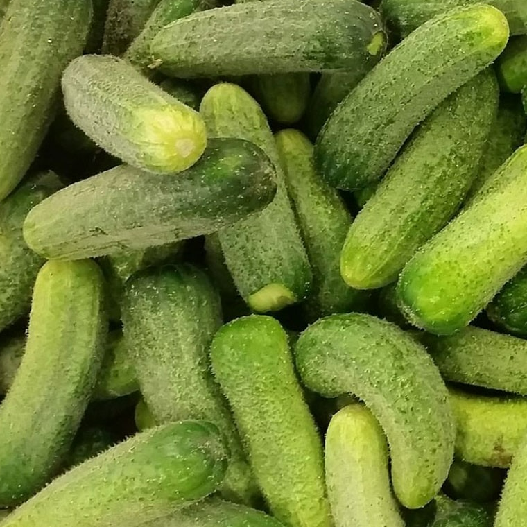 Cornichon (moyen)